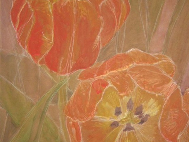 Orange Tulips