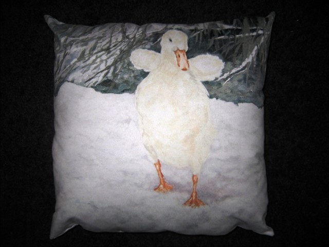 Snowy Duck