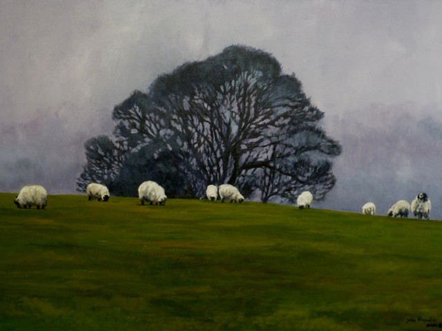 Sheep In The Rain