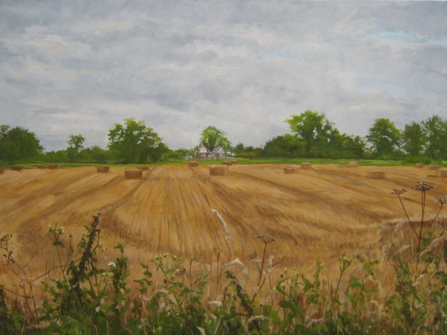 Hay Field at Eastrington