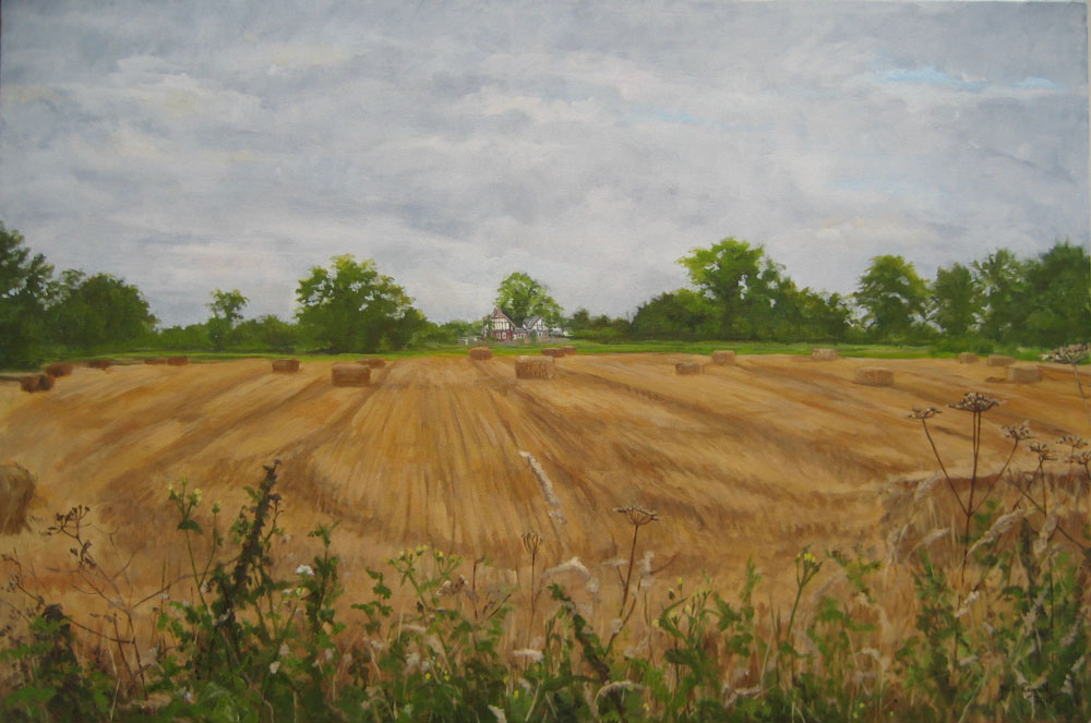 Hay-Field-at-Eastrington